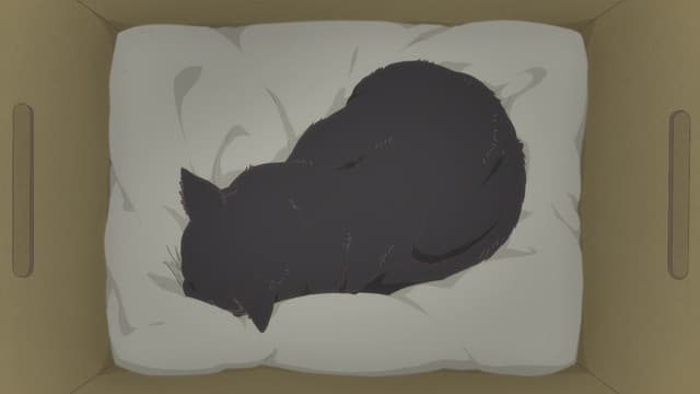 Episode: Episode 2 - [She and Her Sky]