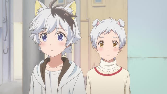 Episode: Episode 1 - Have You Seen My Tama? / Dog Meeting / Our Waiha