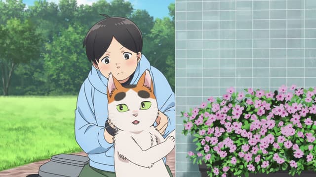 Episode: Episode 11 - Episode 11