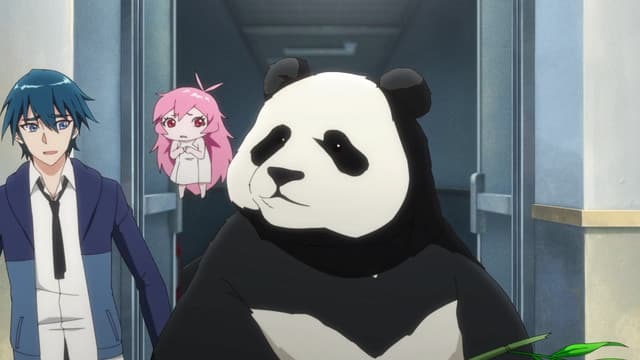 Episode: Episode 3 - Miaowu