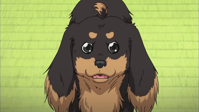 Episode: Episode 3 - The Winter Dog Flies into the Fire