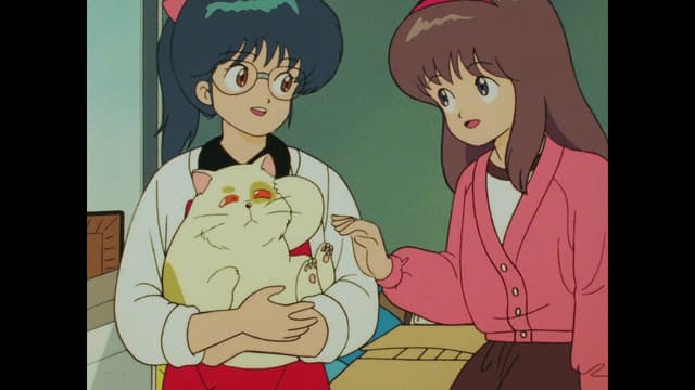 Episode: Episode 1 - A Transfer Student! ‘Tis Embarrassing to Say, But I’ll Fall in Love For the First Time
