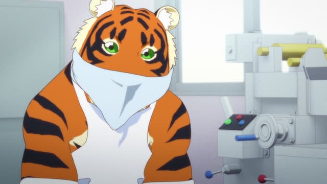 Episode: Episode 11 - Vague Memories / It Depends on the Cat / My Specialty