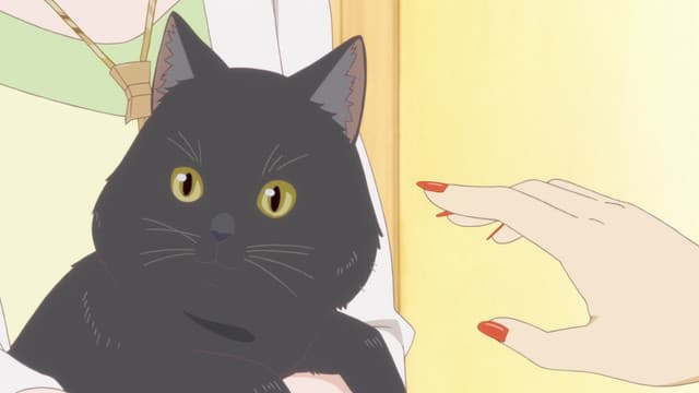 Episode: Episode 1 - [She and Her Apartment]