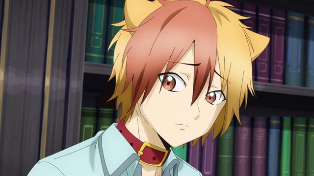 Episode: Episode 24 - The Bond Continuing with Ren-Ren. The Teacher from Ghoul School Will Do His Best!