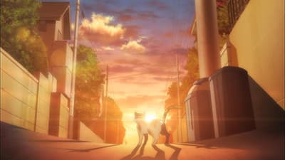 Kitsu епізод 13: Rival