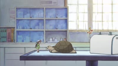 Kitsu епізод 14: Pepper and The Dream of Mr. Turtle