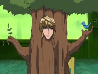 Kitsu епізод 7: The Cursed Dice Game ~inevitable game~