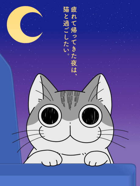 Ночі з котом: Сезон 2