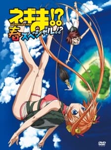Неґіма!? Магістр Неґі Маґі: Весна