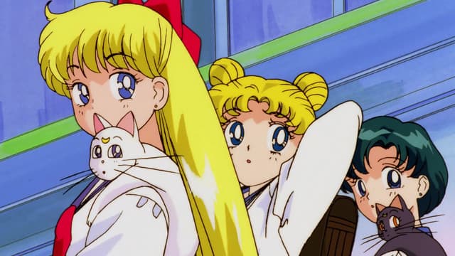 Episode: Sailor Moon R: The Movie (Dub)