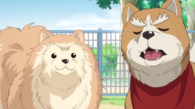 Episode: Episode 3 - Canine Lords, and Battle of Okehazama Returns?
