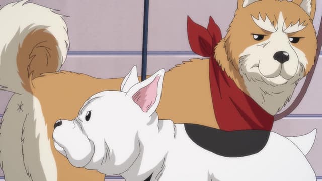 Episode: Episode 1 - Man From the Past: I Am Oda Cinnamon Nobunaga!?